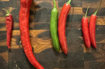 Pepper ID help, pretty please