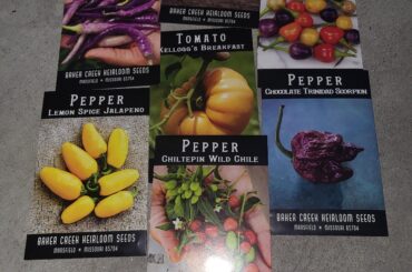 I ordered the pepper seeds, they threw in the tomatoes