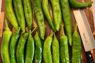 Harvested some New Mexico Big Jim Numex and made a green chili sauce for pulled pork burritos.