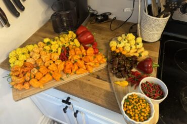 This weeks harvest, guess the peppers, level impossible