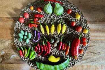 Colorful harvest from a few dozen small pots