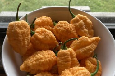 First time making a fruity sauce!