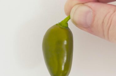 Long Mini Olive Rocoto