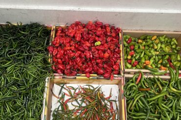 ghost peppers at a vietnamese supermarket?? or am i dreaming?