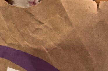 They sure didn’t get my order right. But who’s complaining?