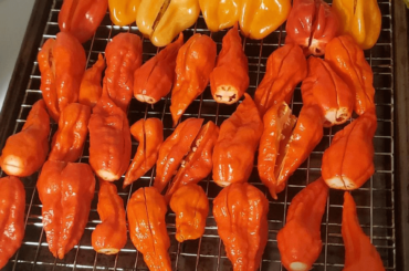 Smoked ghost pepper (and some others) and mango hot sauce. Too bad my printer sucks.