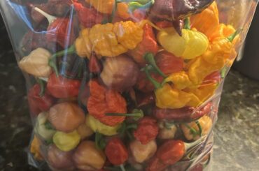 Gallon zip of superhots