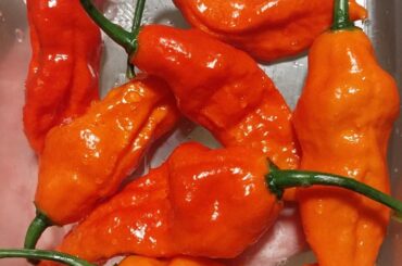 I am so pumped right now!