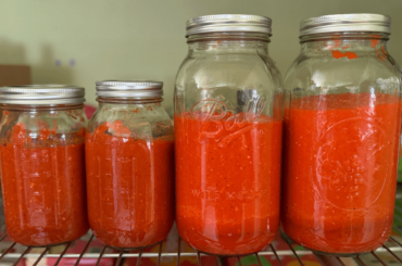 Homemade Sriracha will melt your face off :)  Recipe in comment.