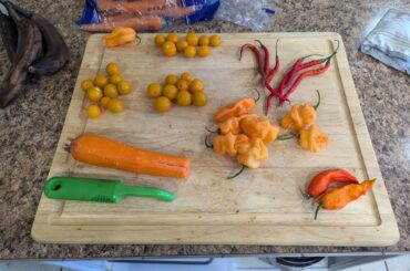 Small batch, but it's at least all from our own garden this year.