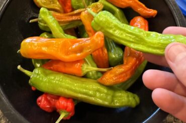 These were SUPPOSED to be Banana Peppers - what should I do with them?