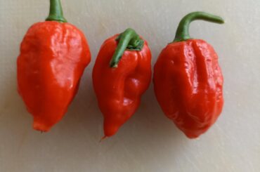 Please help me identify these precious things!