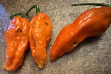 What could be causing this?