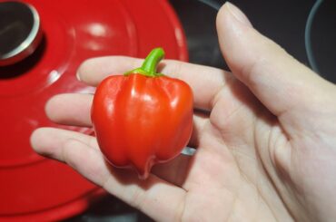 What pepper is this?