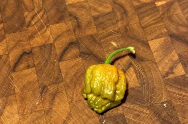 Is this Pepper X?