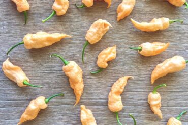 Euforia Peppers