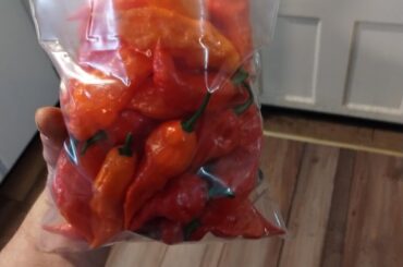 Any suggestions for a first time grower?