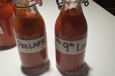 Made my first batch of fermented hot sauce!