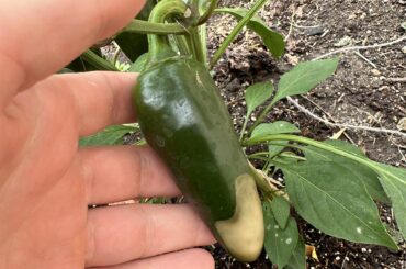 What’s going on here?