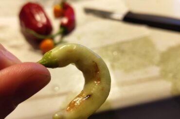 Are the peppers rotten or can i still eat them?