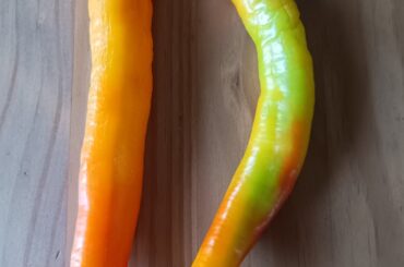 What chili could this be?