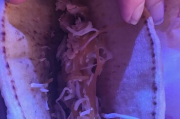 This might actually be the worst order I've ever gotten and thats a fucking accomplishment.