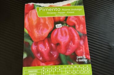 Can’t find much info on this one. Is it a sort of habanero?