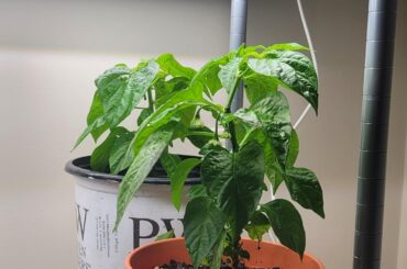 I'm not ready to let go.