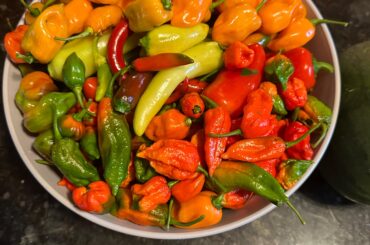 A variety of peppers from our garden.