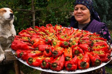 From Garden to Plate | Traditional Stuffed Bell Peppers