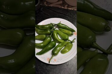 Crunchy Mirch Pakora Recipe -Spicy Stuffed Chili Fritters#food#cooking#nooniongarlicrecipe #trending