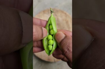 Shimla mirch pyaz ki sabji #shorts | | Shimla mirch ki sabji | Pyaz ki sabji | Capsicum curry