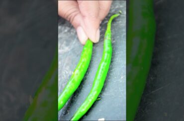green chilli fitter #shortsvideo #video #youtube