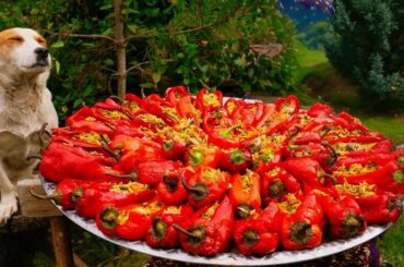 Farm-to-Table Stuffed Peppers: A Wholesome and Delicious Recipe