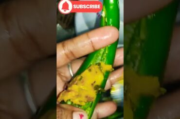 Chili pakoda #desikhan #desistylekhana #mealsready #cooking #yt #recipe #shortsvideo