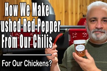 How We Make Crushed Red Pepper From Our Chilis   For Our Chickens