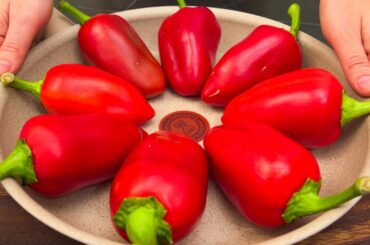 Very tasty! This recipe is a real treasure! I cook peppers like this every three days!