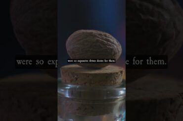 Spices In The 18th Century  #history #18thcenturycooking #historicalcooking #americanhistory