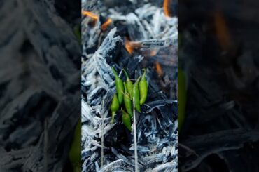 Smashed spicy Green chilli