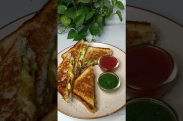 Cabbage Capsicum Breakfast Sandwich recipe #sandwich #food #shorts #thecookingcottage