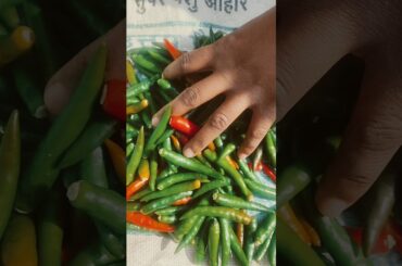 Mirchi ka achar #trending song #ytshorts #cookingfood #satvikrasoi