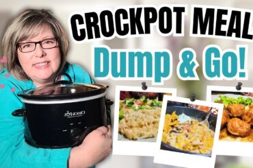 The BEST Dump & Go Crockpot Recipes You Need to Make in 2025!