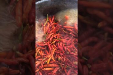 Ever made your own Dried Pepper from the scratch? Here’s mine and its sun dried.