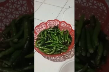 How to store fresh green chilli #ytshorts #priyarlifestyle