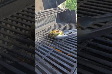Best way to roast a poblano Pepper! #shorts #grill #poblano #food #cooking #cancerjourney