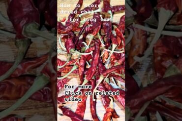 Kitchen tip- how to store dried chili #food #cooking #recipe #kitchen #chilipaste #chili #shorts