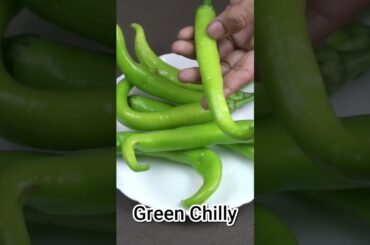 mirch ki sabzi recipe | hari mirch ki sabji |