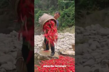 This chilli jar might burn more than just your tongue #chilli #chineesefood #shorts