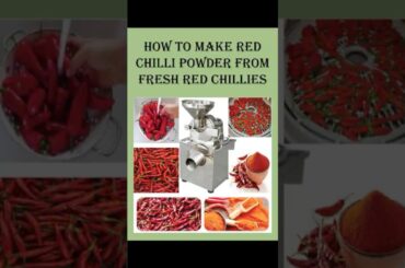 How to make Red Chilli Powder #homemade   #dryveg #tips #kitchen  #howtomake #viral #youtubeshorts