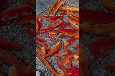 Making Paprika at Home (Super Easy!) |  #recipe #easyrecipe #kitchenhacks #food